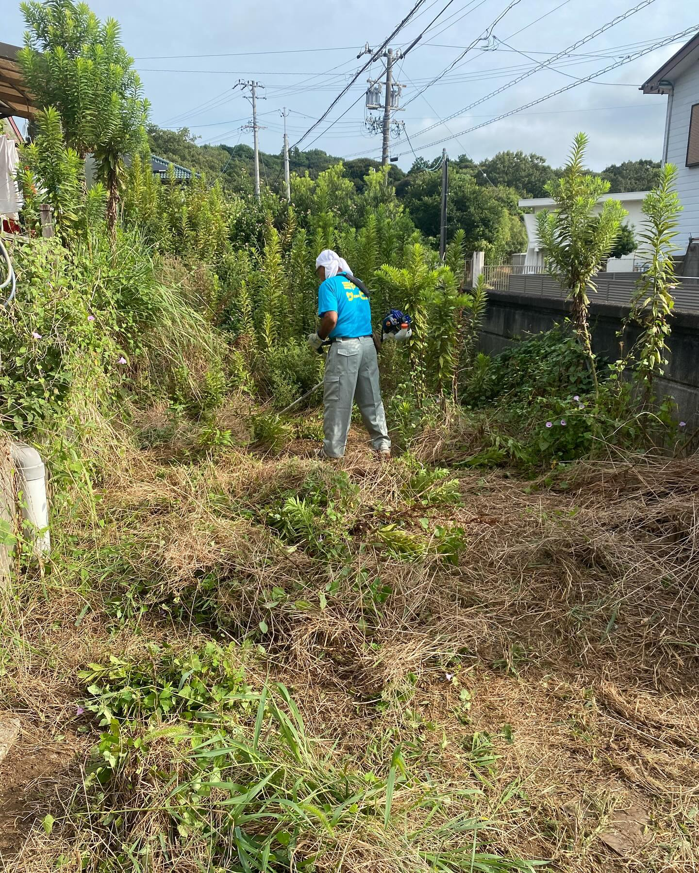 今日のお仕事は、お庭の草刈り！