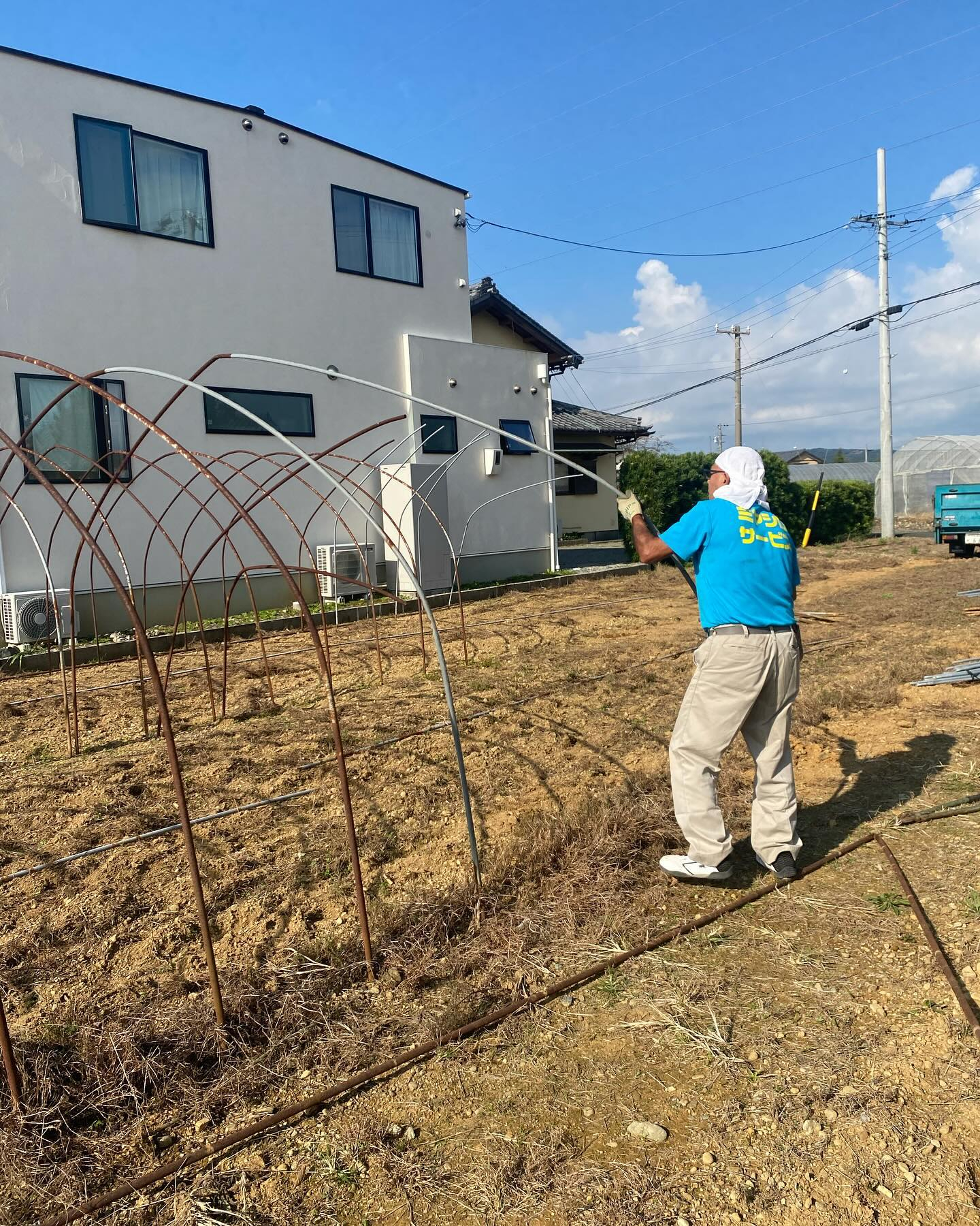 ビニールハウスの解体作業ー！