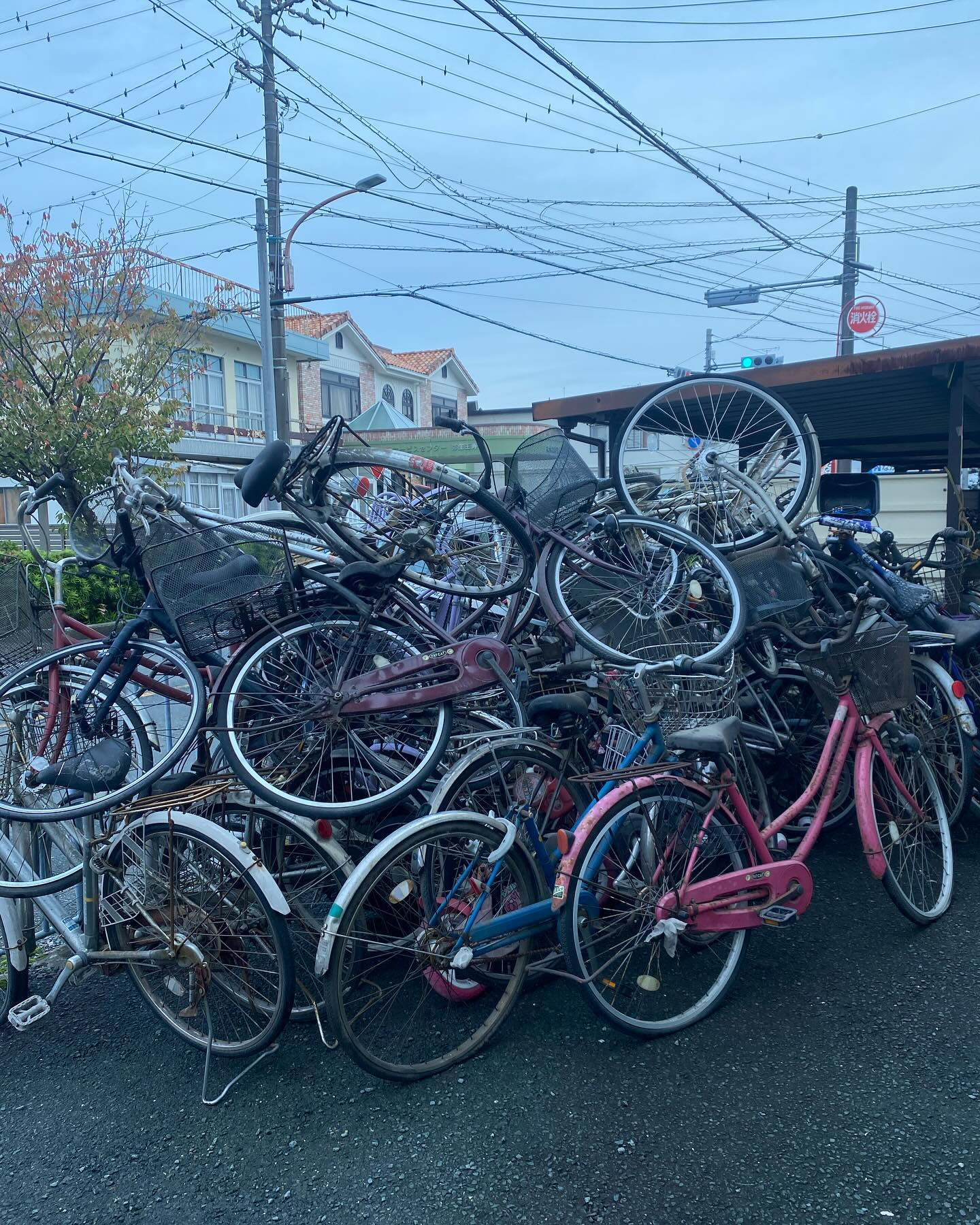 自転車の回しましたー！🚴‍♂️🌟 