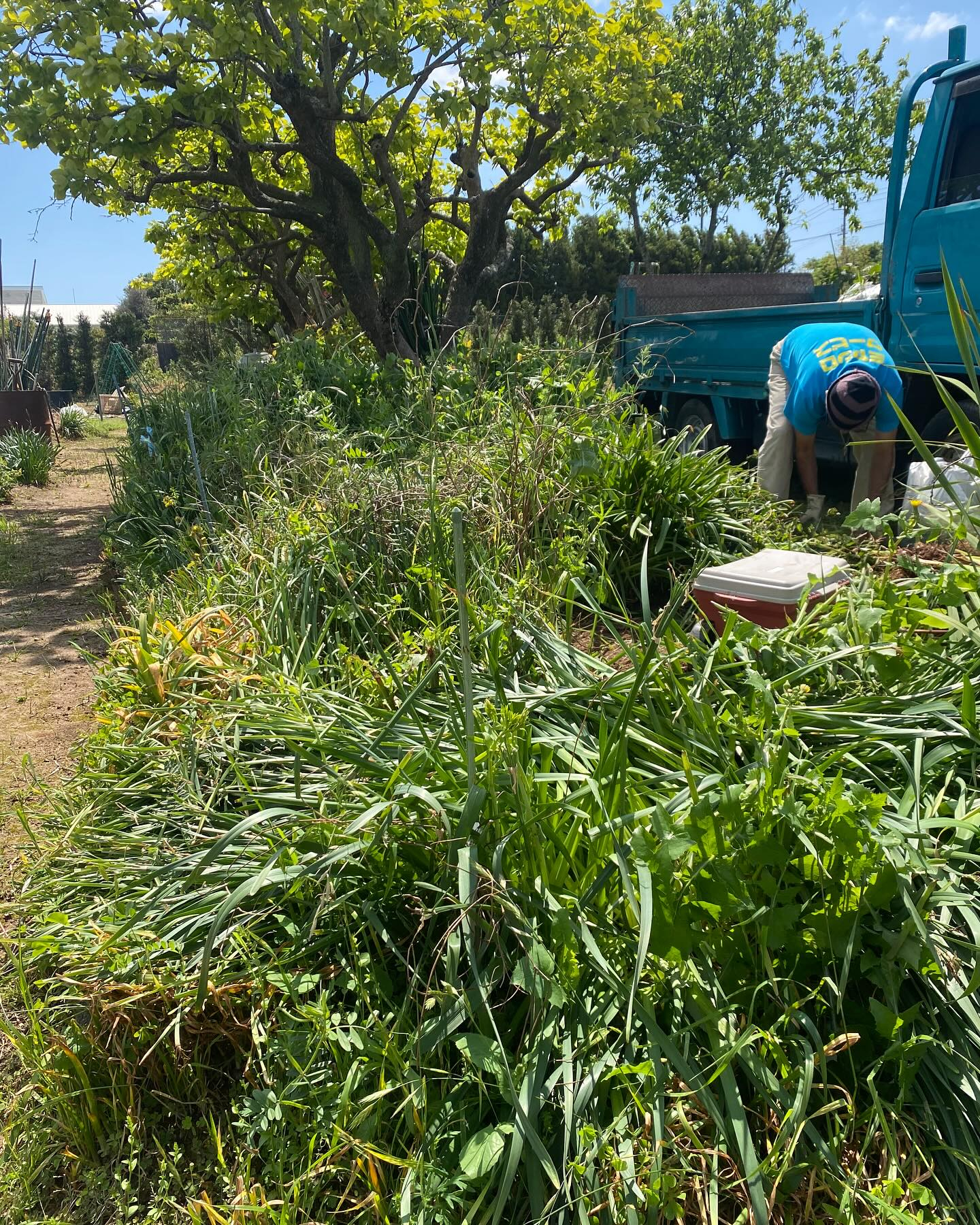 湖西市での草刈り作業ー！