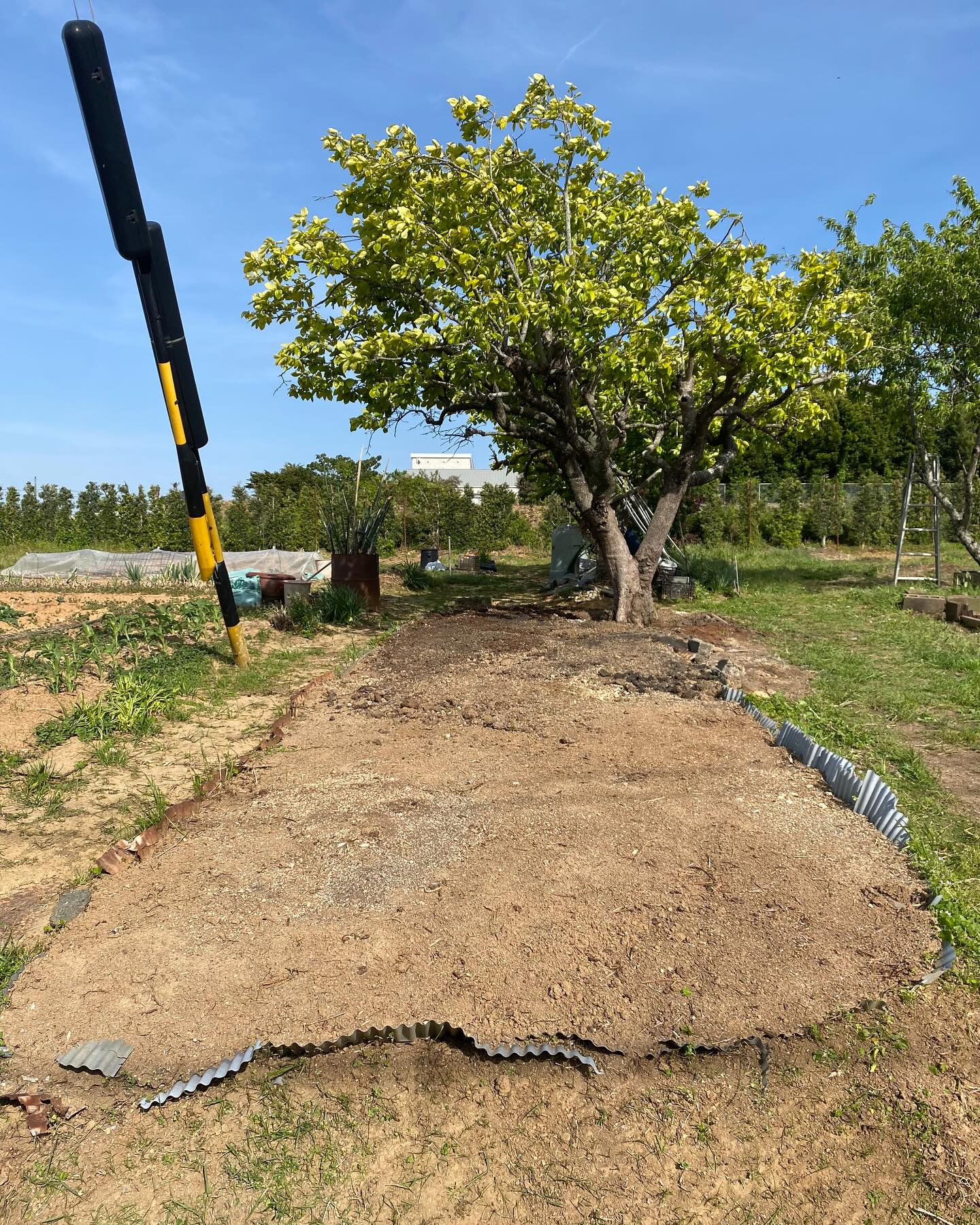 湖西市での草刈り作業ー！