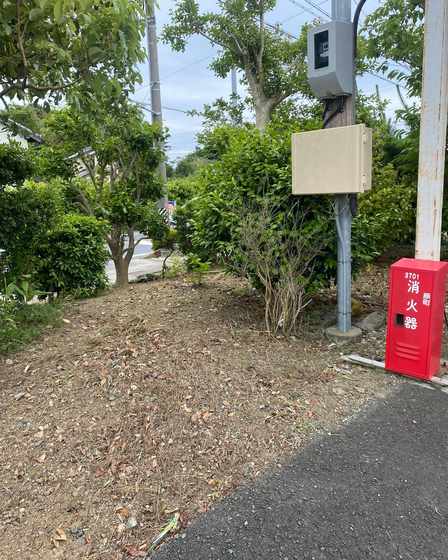 豊橋市での草刈りー!