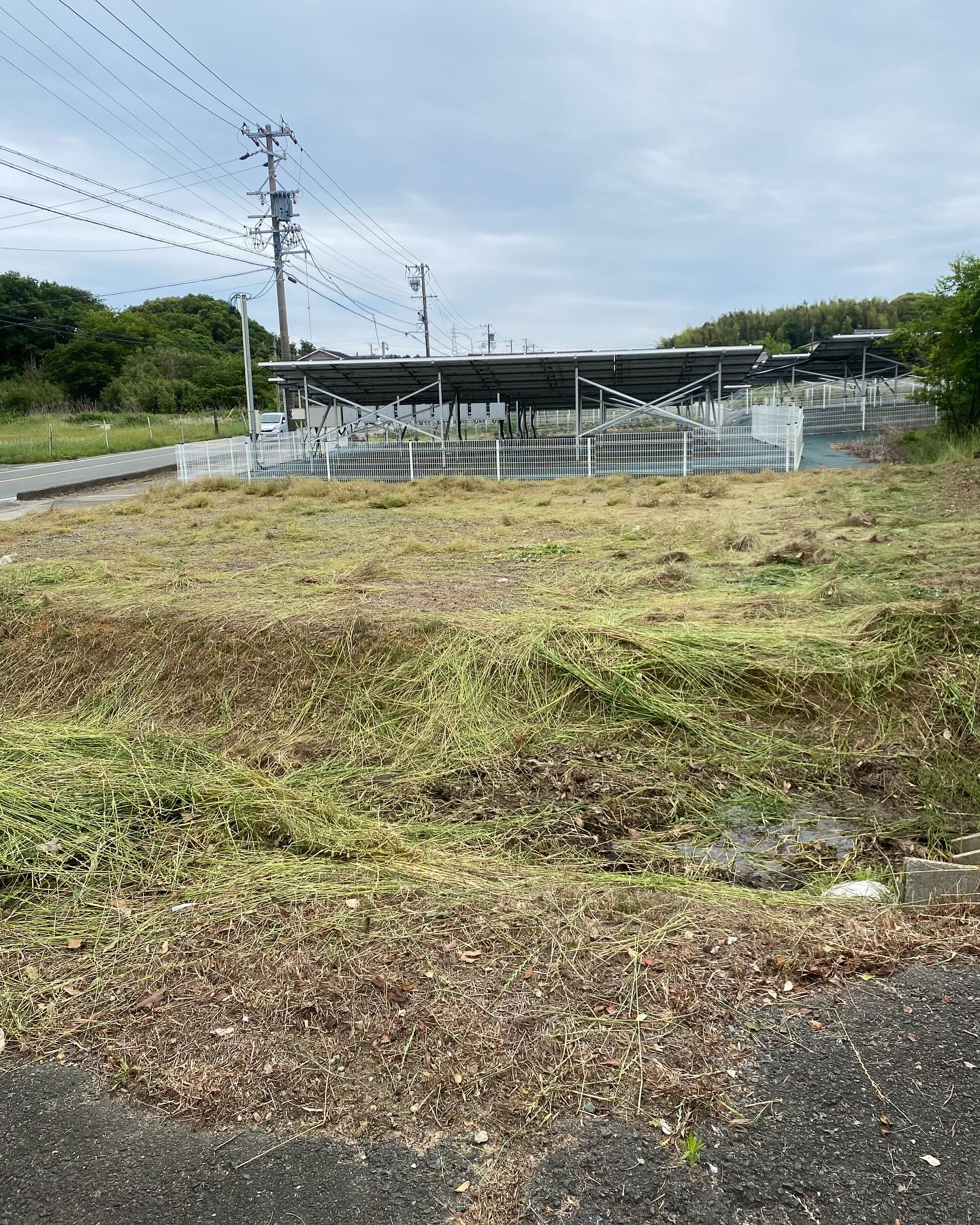 豊橋市での草刈りー!