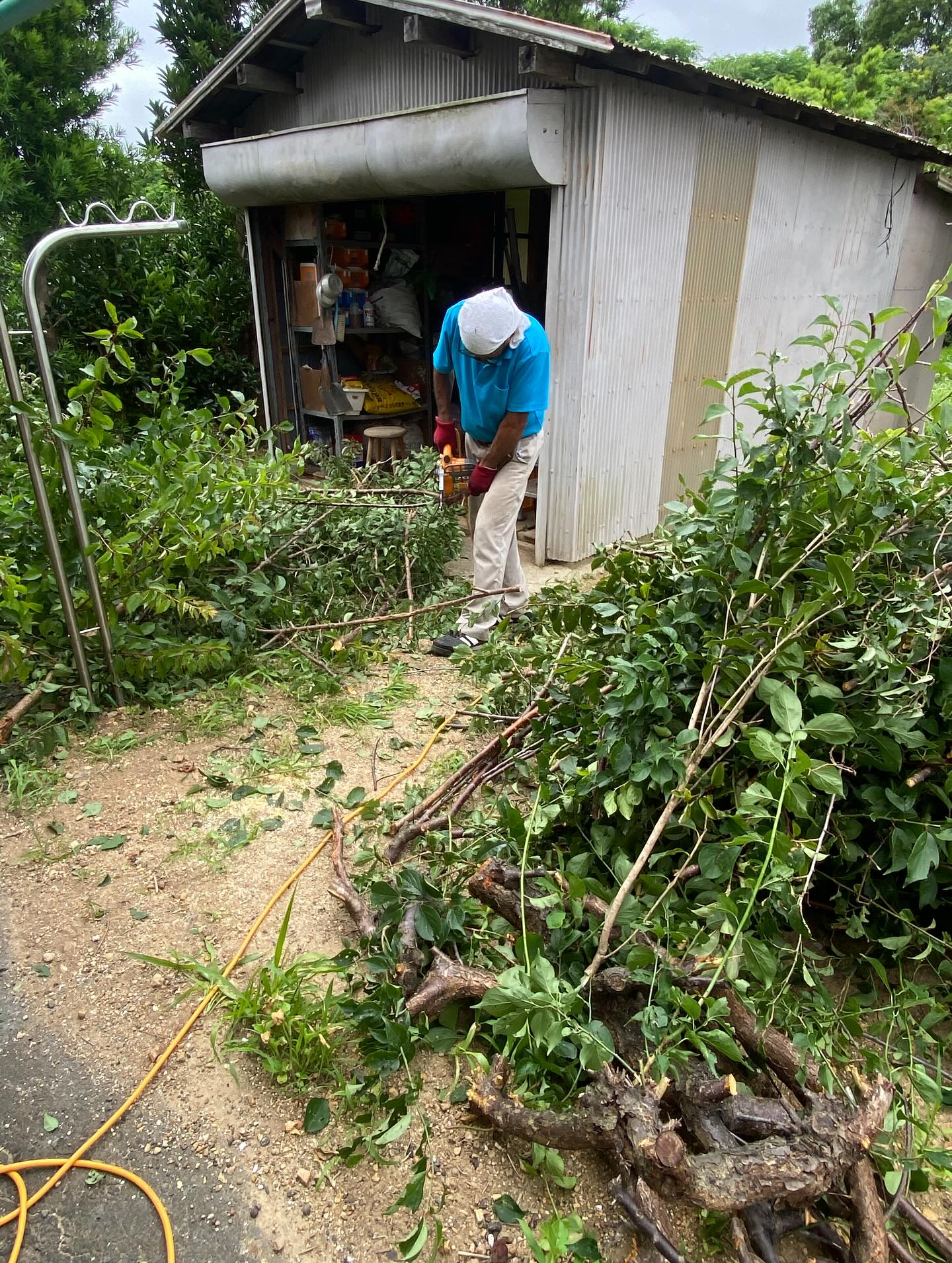 垣根のお手入れお手伝いー!(豊橋市)