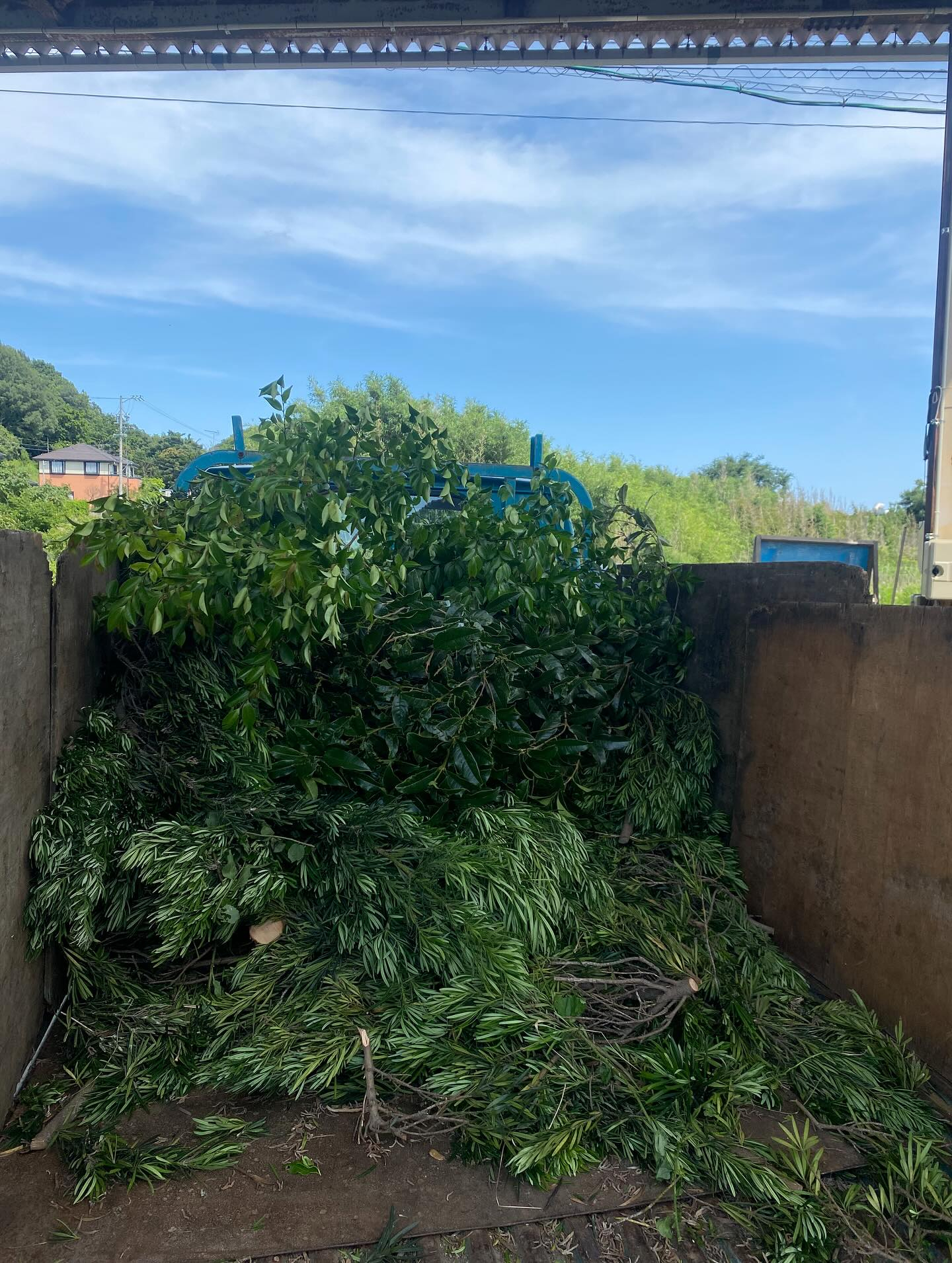 垣根のお手入れお手伝いー!(豊橋市)