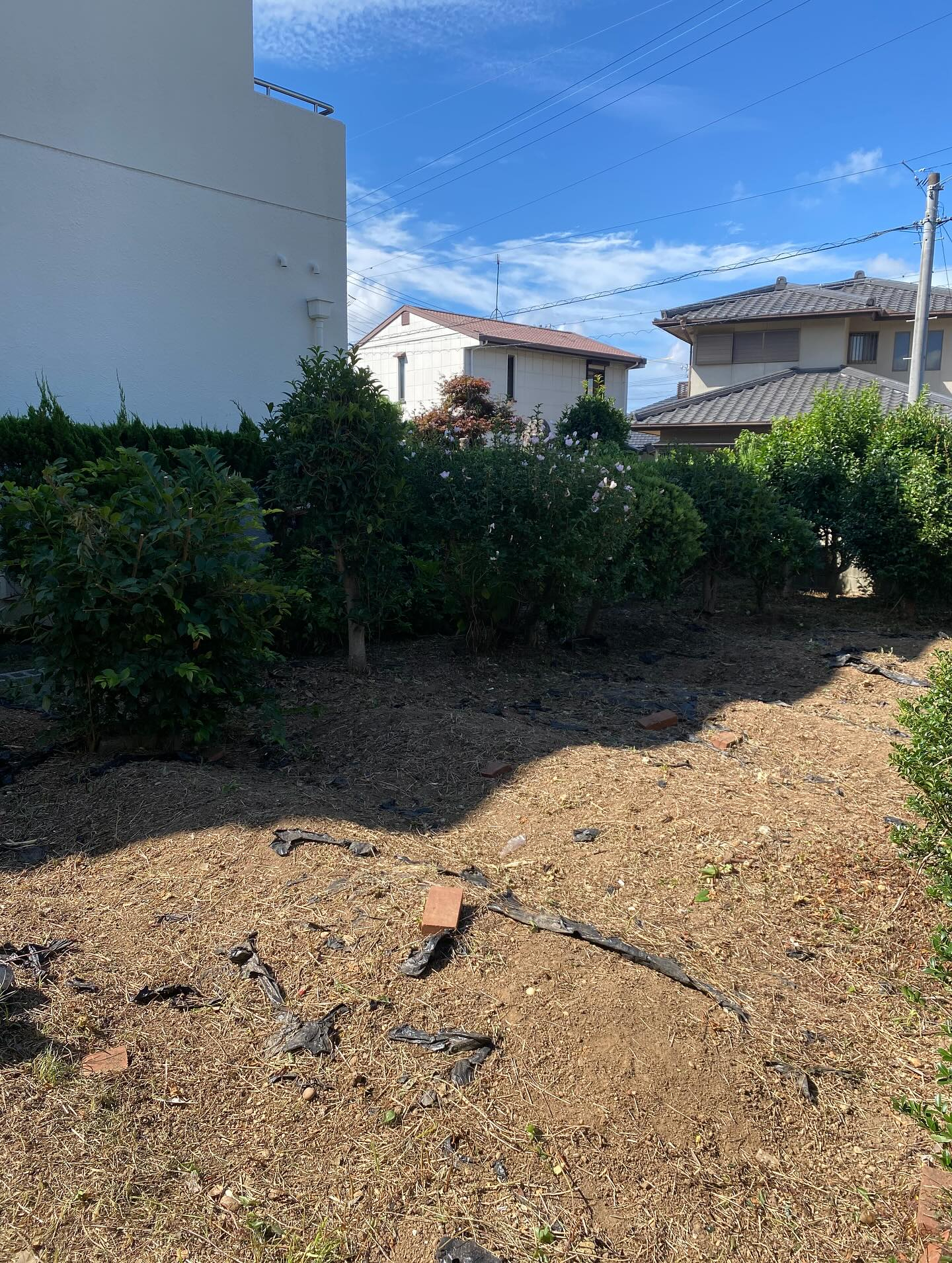 草刈りー！(豊橋市)