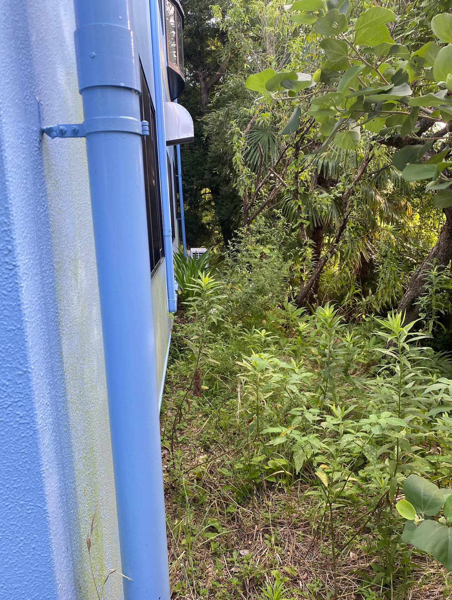 草刈り作業ー!(豊橋市)