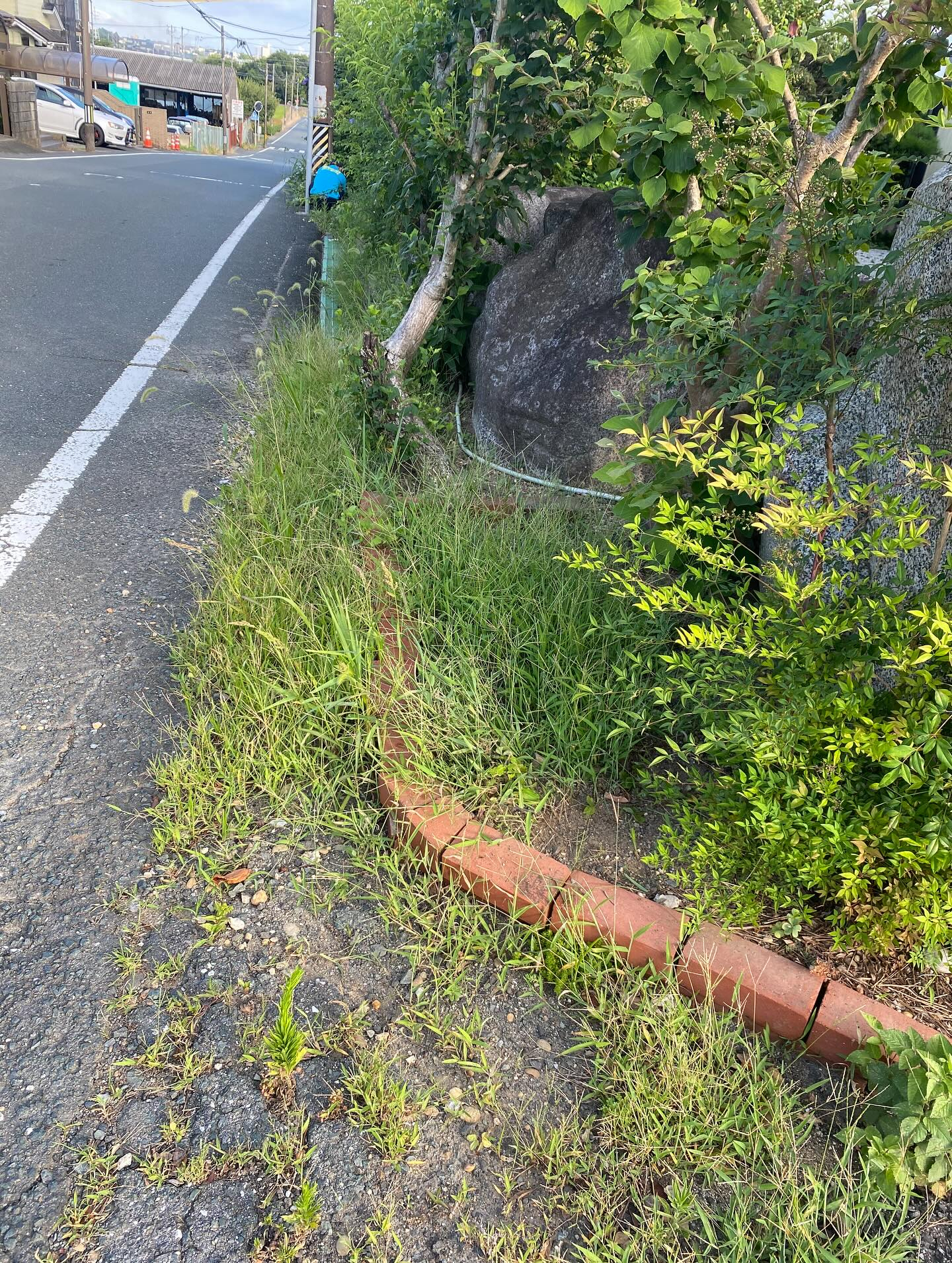草刈り作業ー!(豊橋市)
