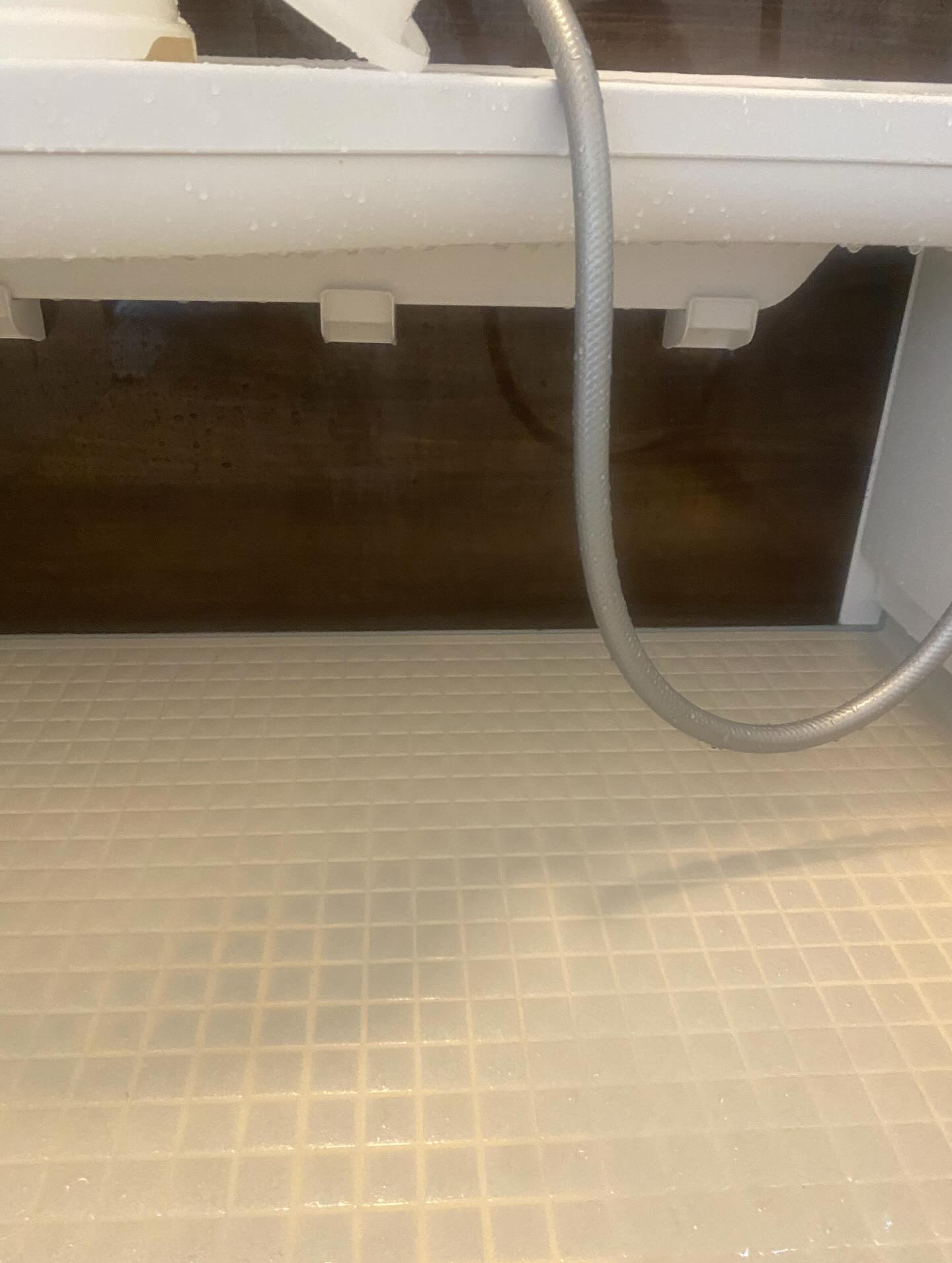 お風呂掃除ー！