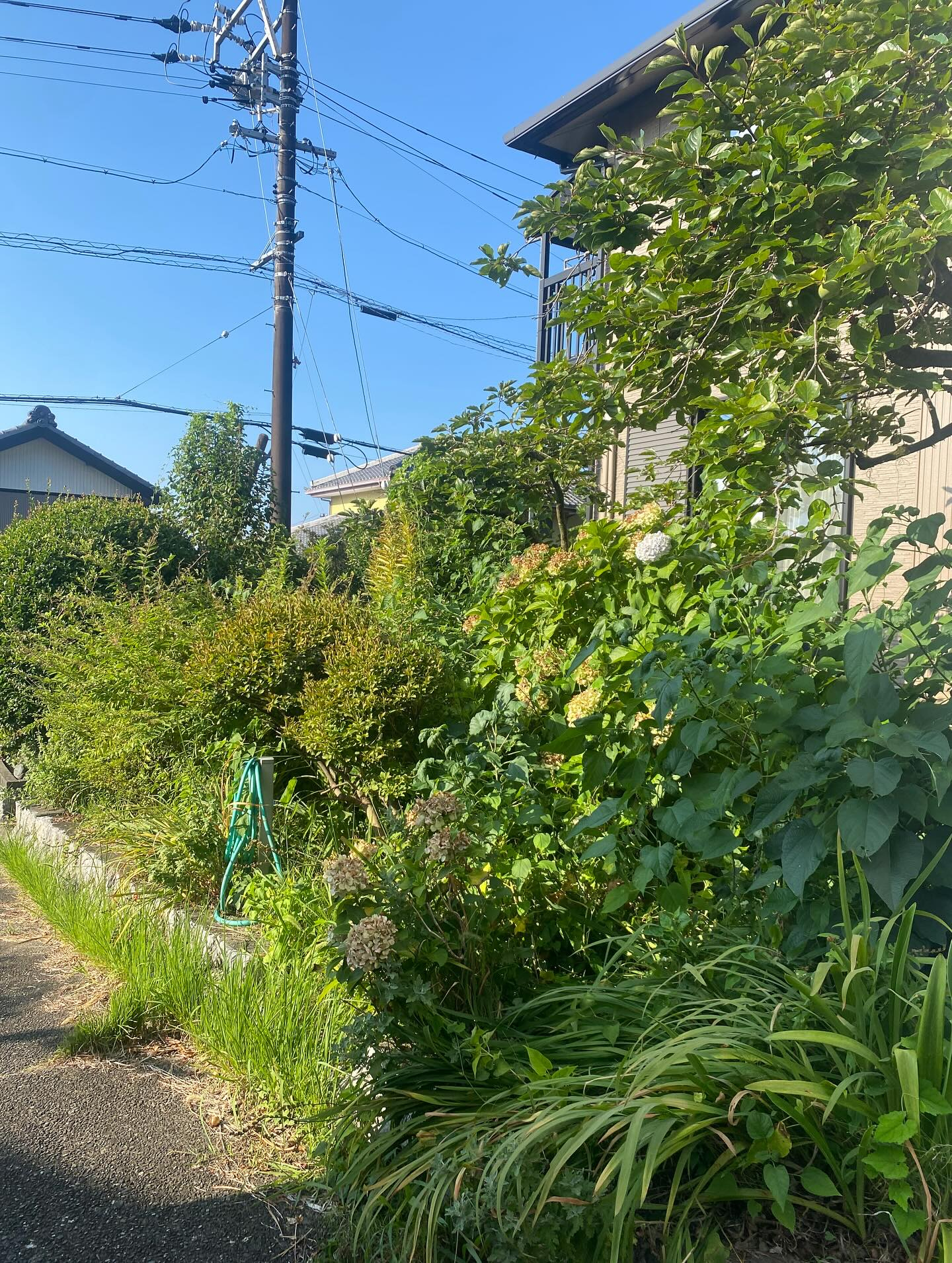 草刈りー！（湖西市）