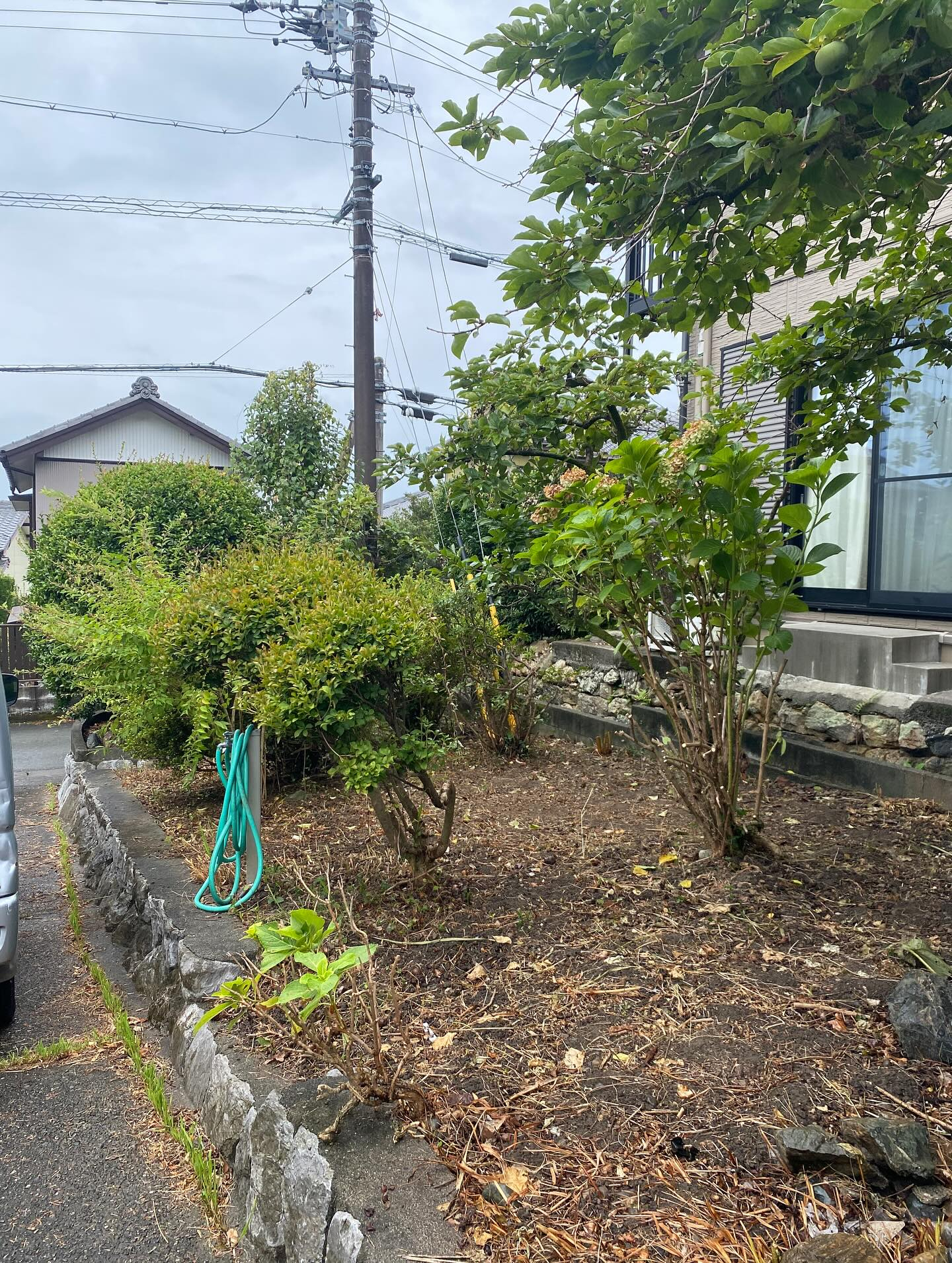 草刈りー！（湖西市）