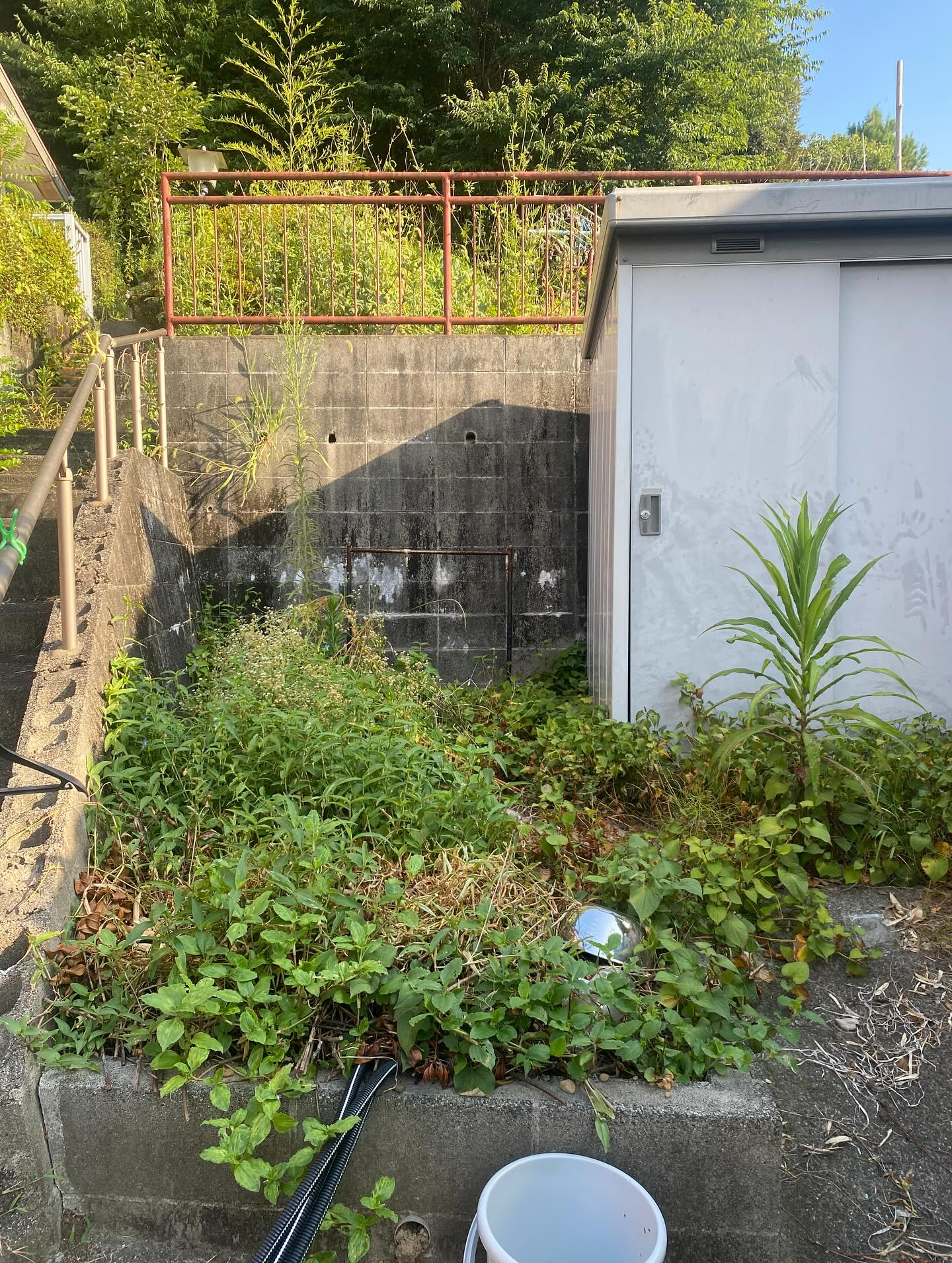 草刈りー！（湖西市）