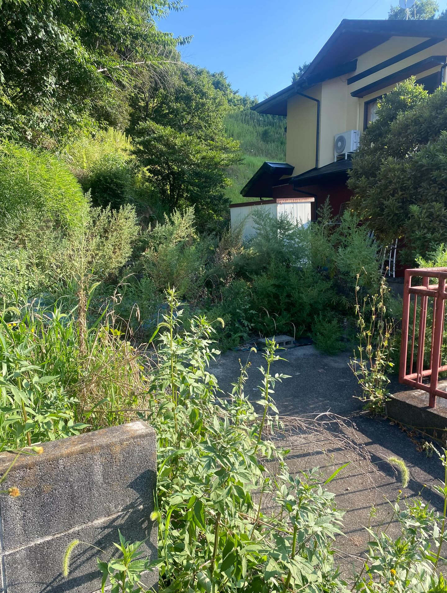 草刈りー！（湖西市）