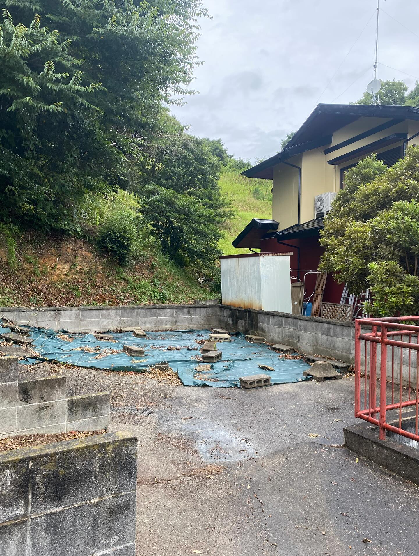 草刈りー！（湖西市）