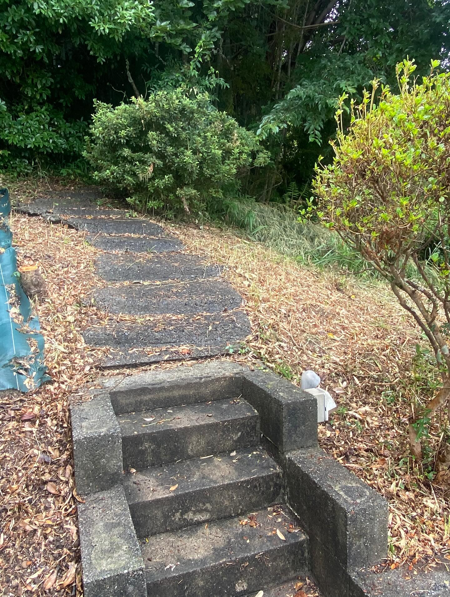 草刈りー！（湖西市）