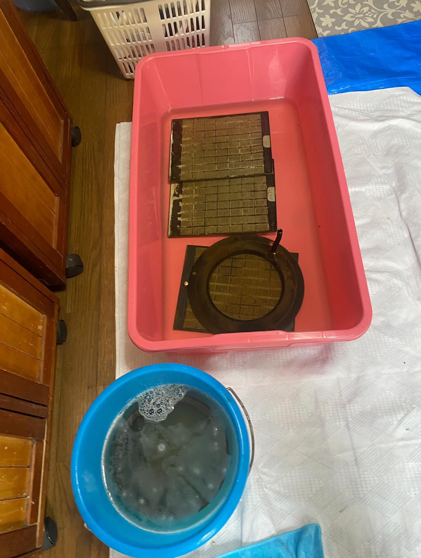 換気扇のお掃除ー！