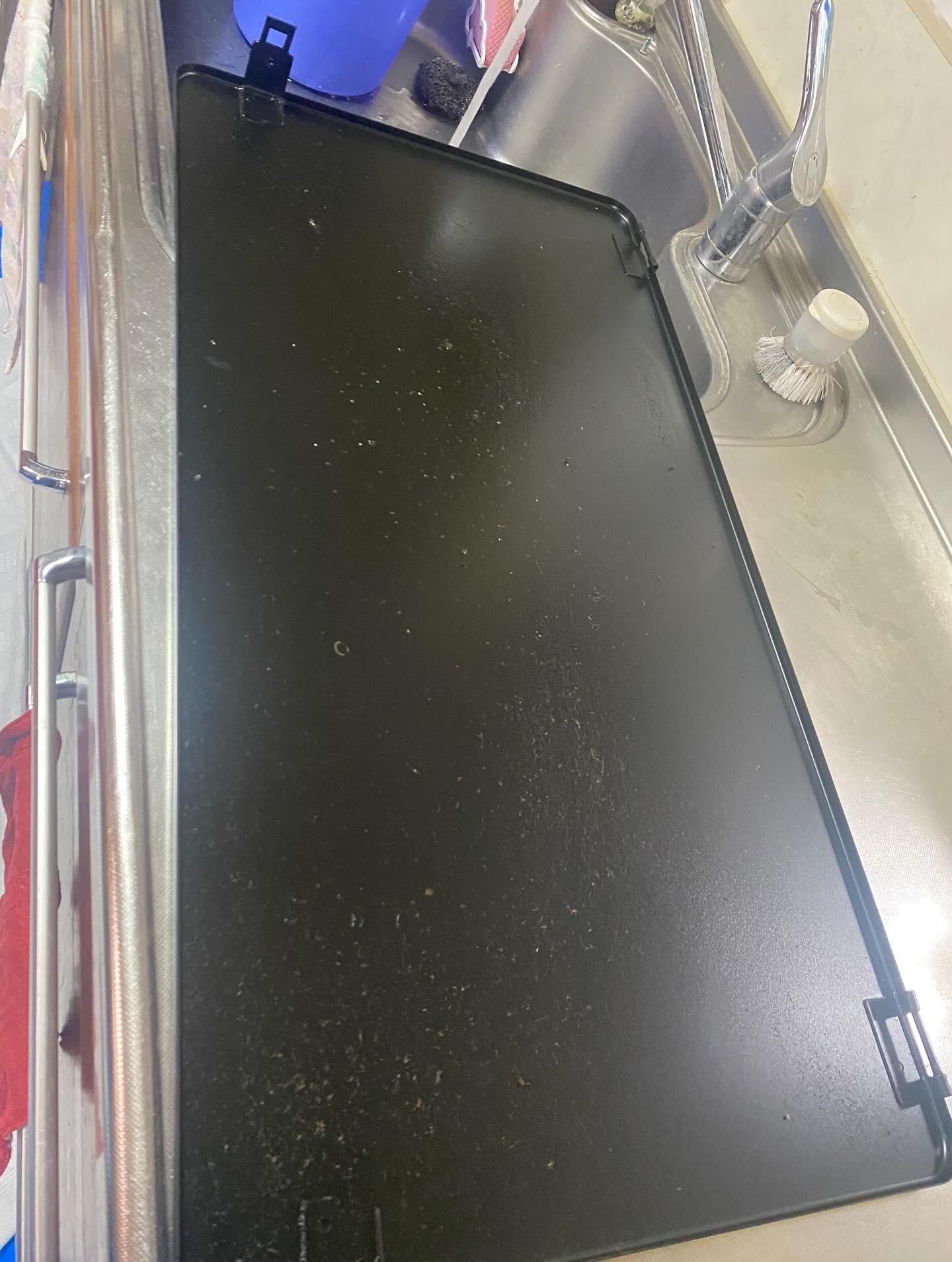 換気扇のお掃除ー!