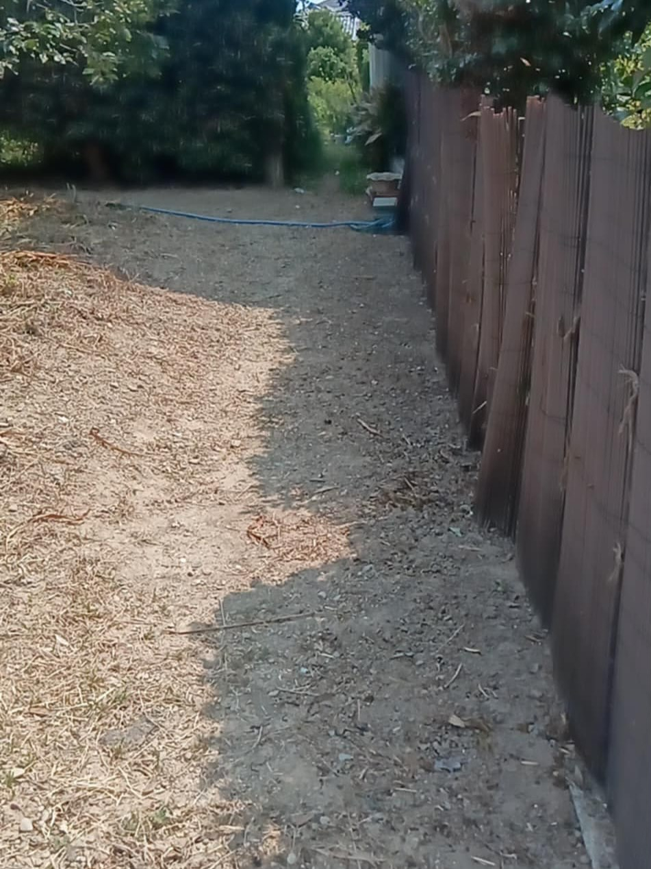 草刈りー！（湖西市）