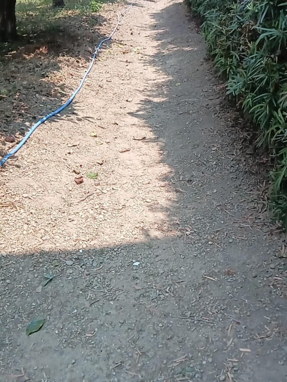 草刈りー！（湖西市）