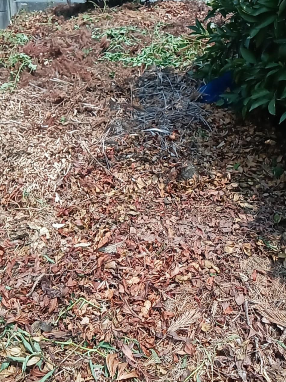 草刈りー！（湖西市）