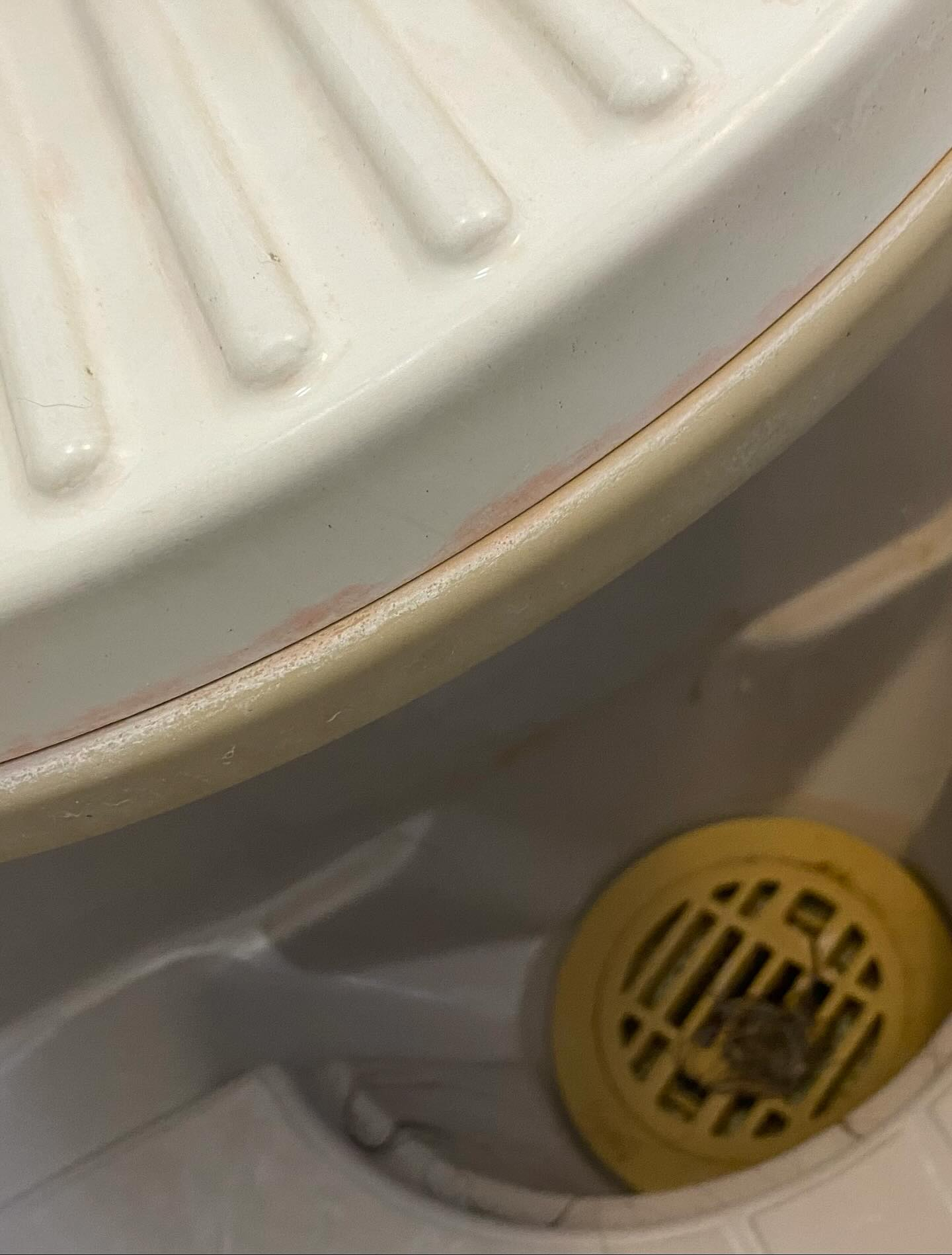 お風呂そうじー！