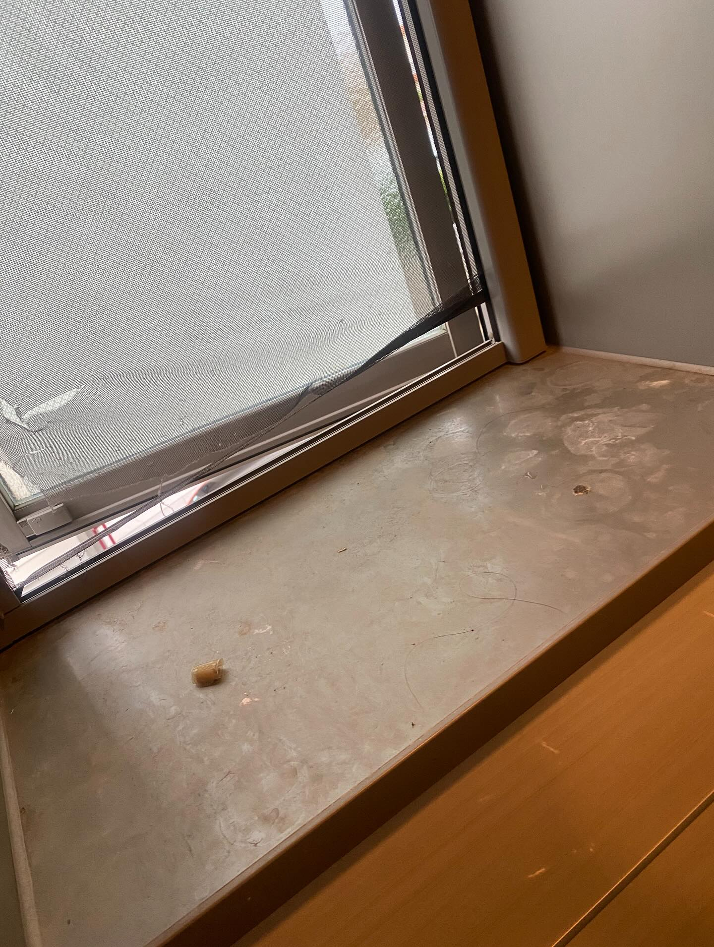 お風呂のお掃除ー!