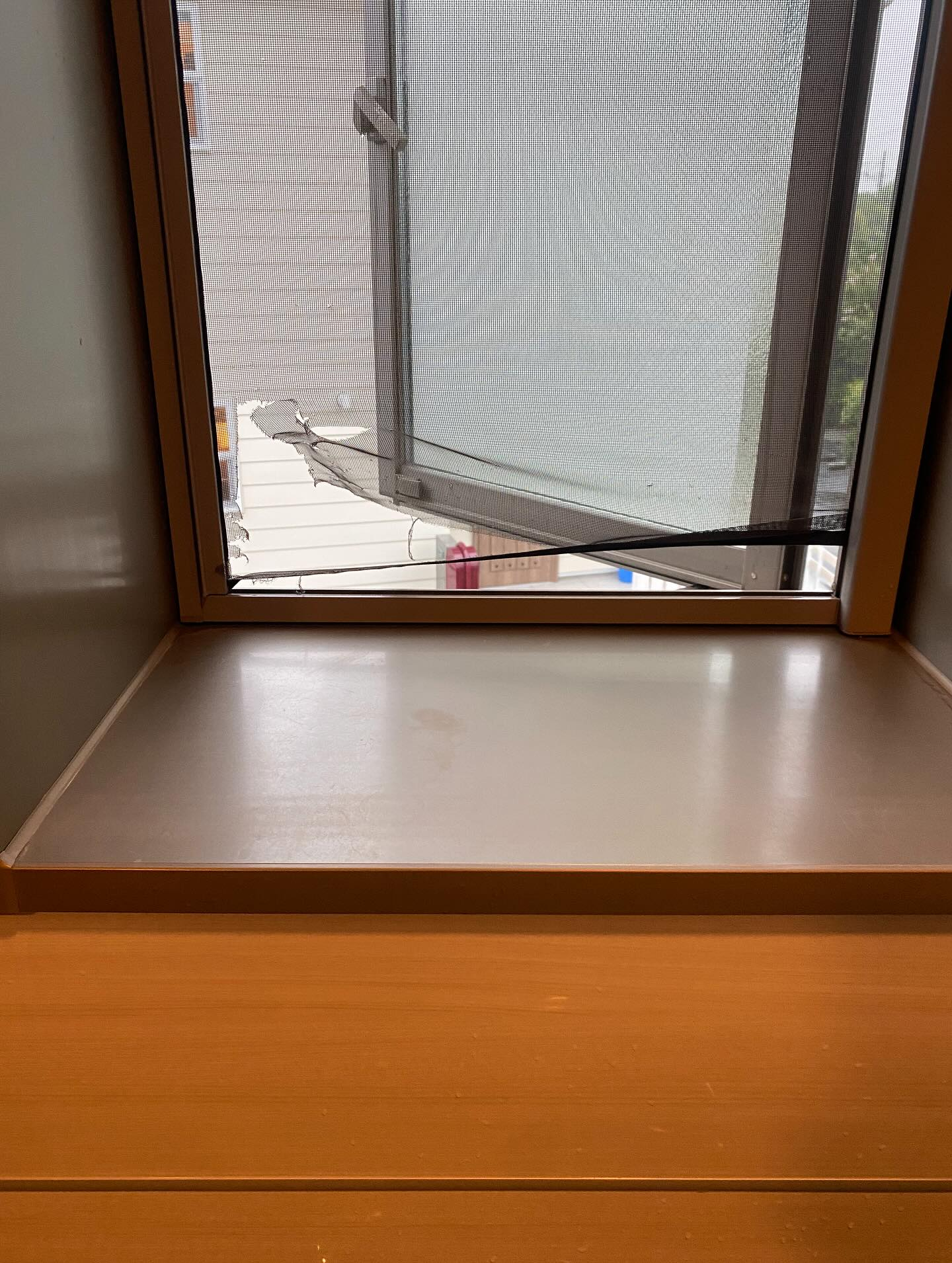 お風呂のお掃除ー!