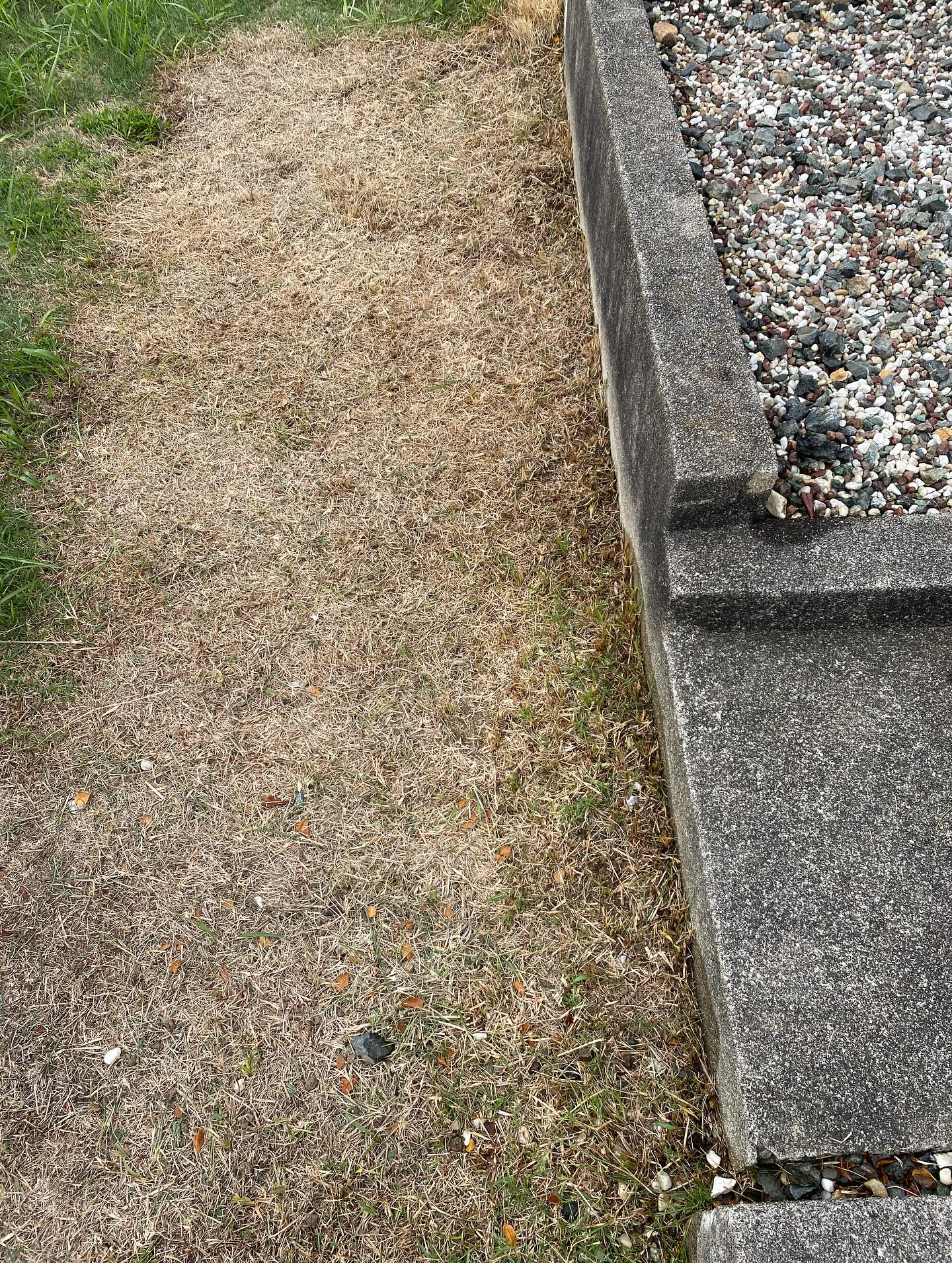 お墓参り代行サービス!