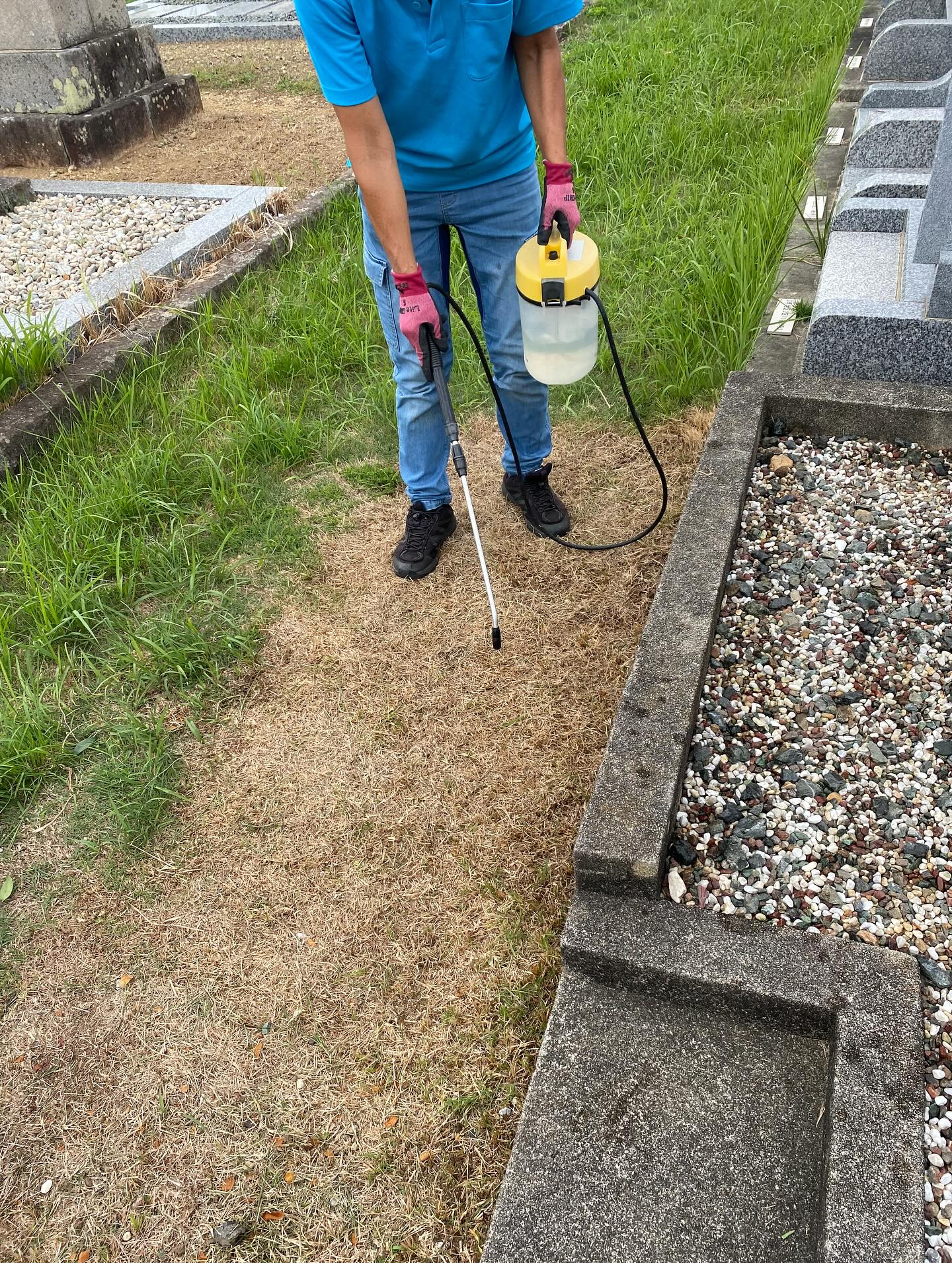 お墓参り代行サービス!