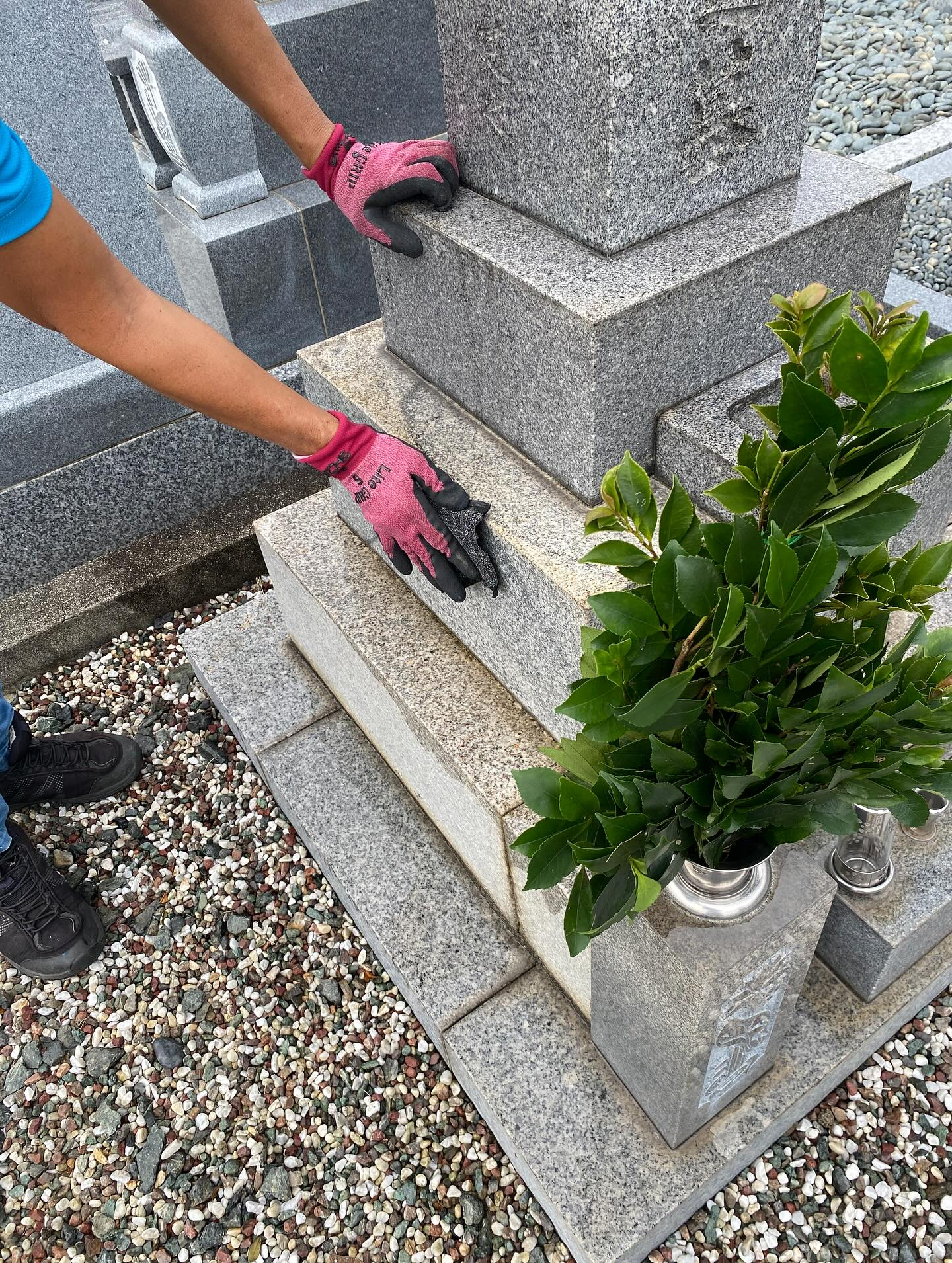 お墓参り代行サービス!