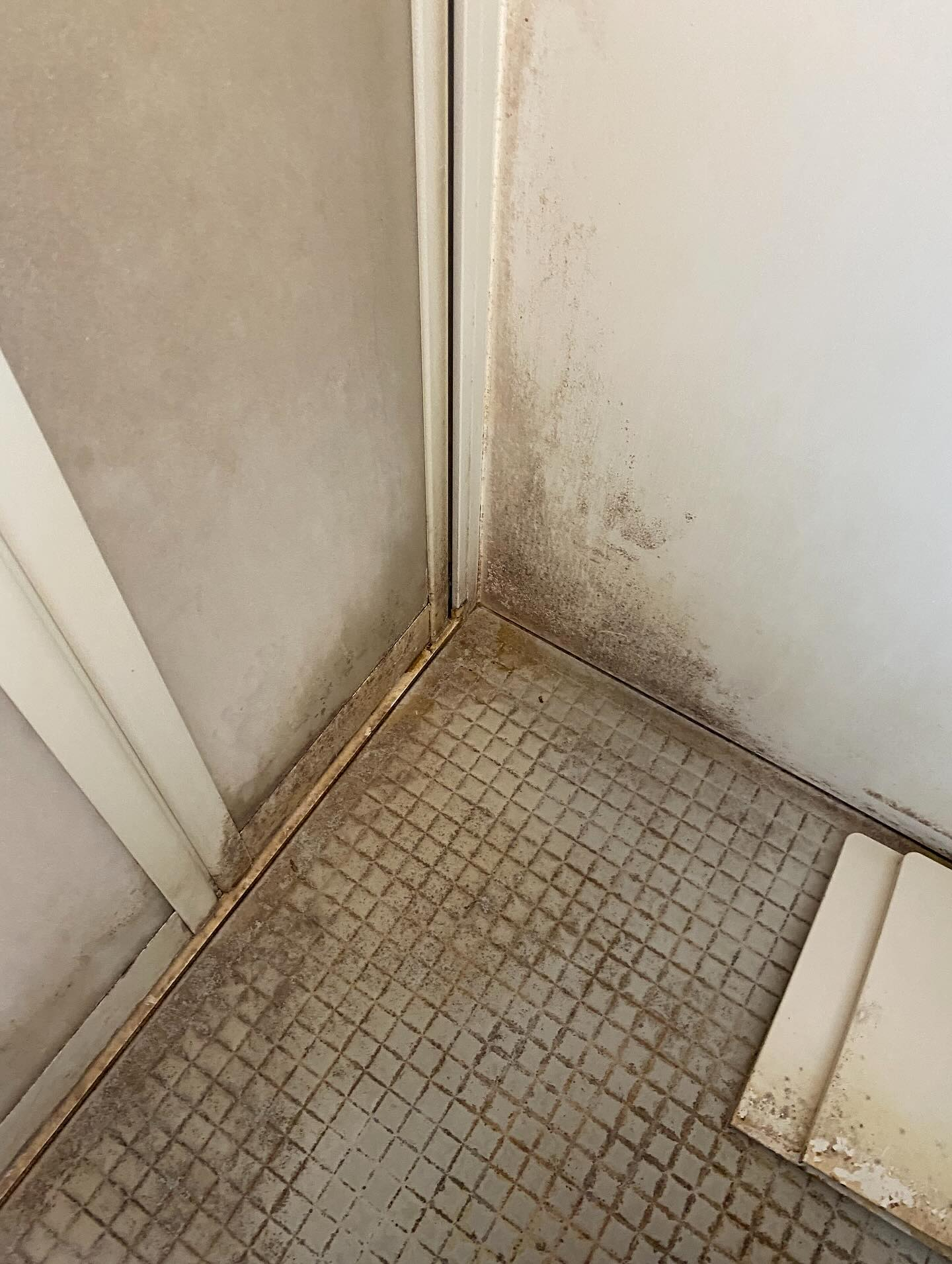 お風呂掃除ー！