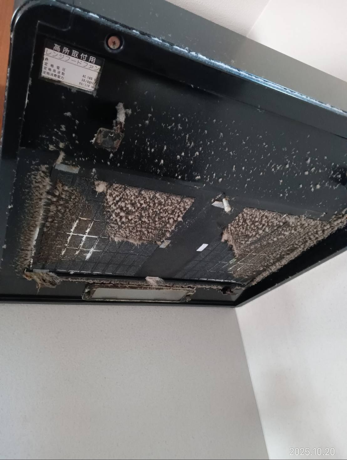 換気扇とコンロ周りの掃除ー！