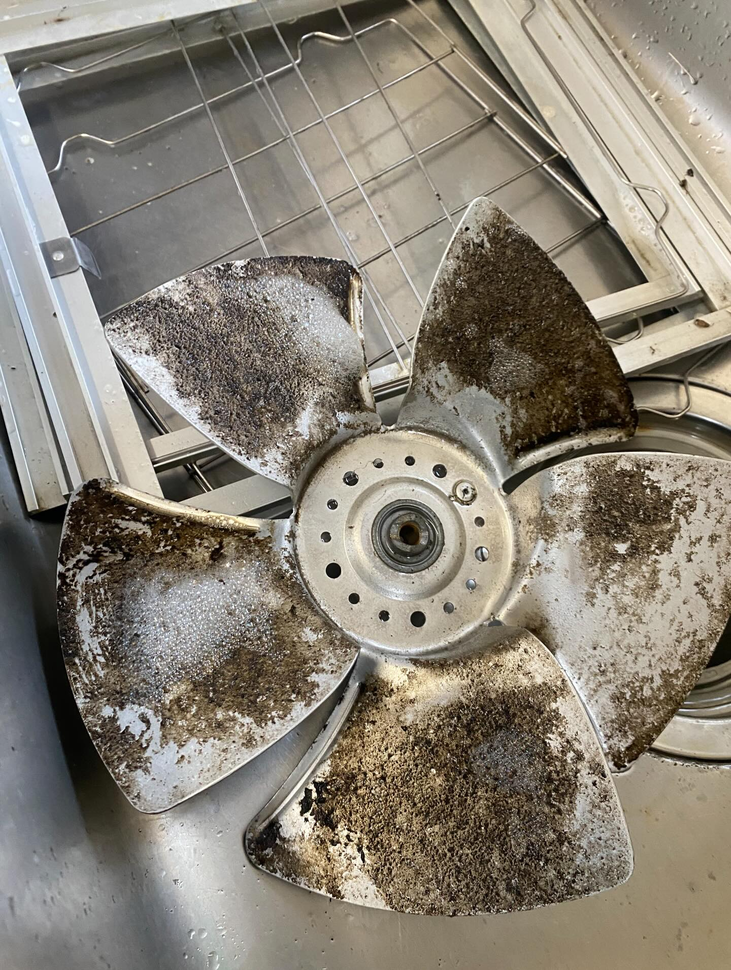 換気扇のお掃除ー！