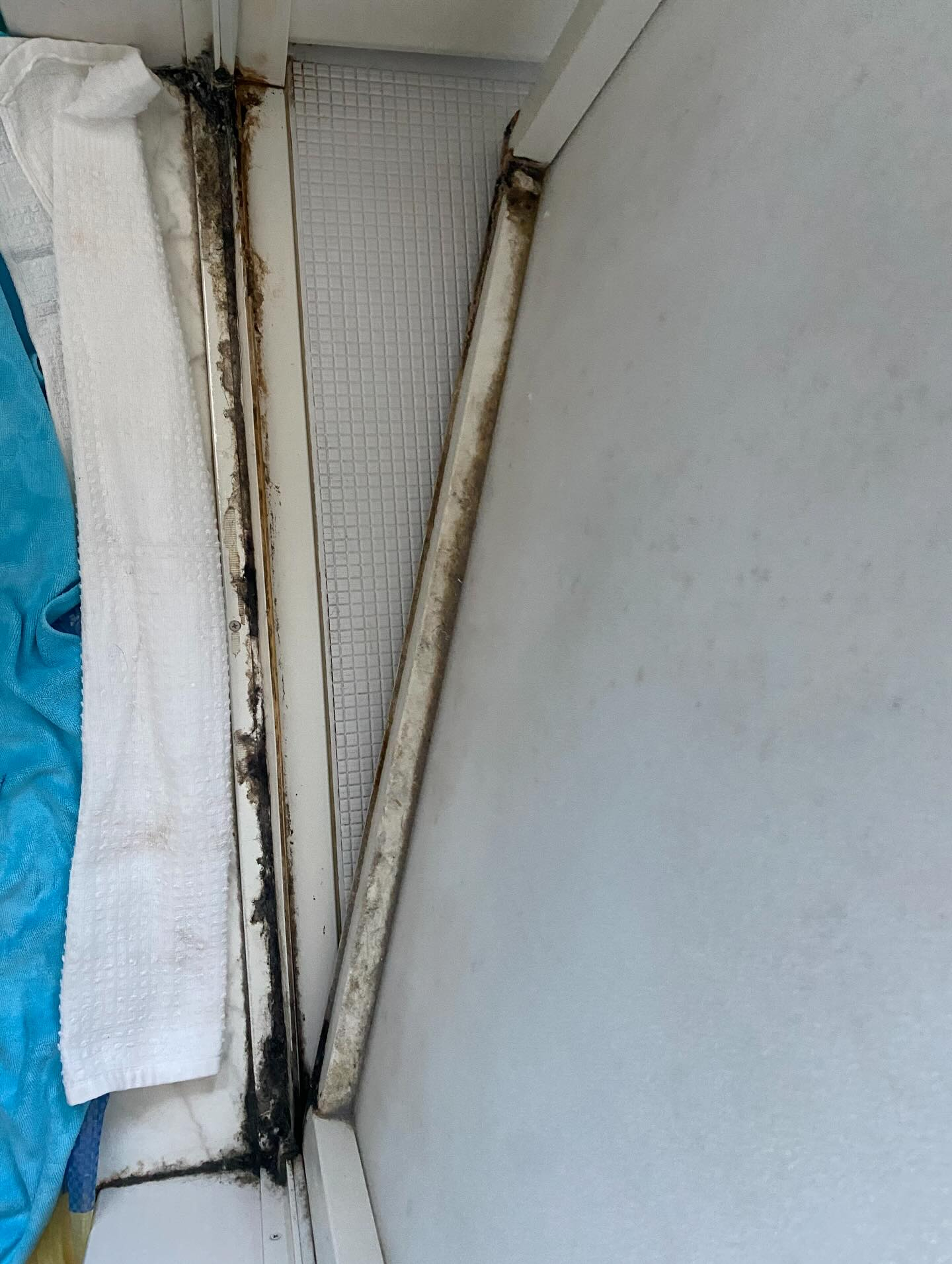 お風呂掃除ー！