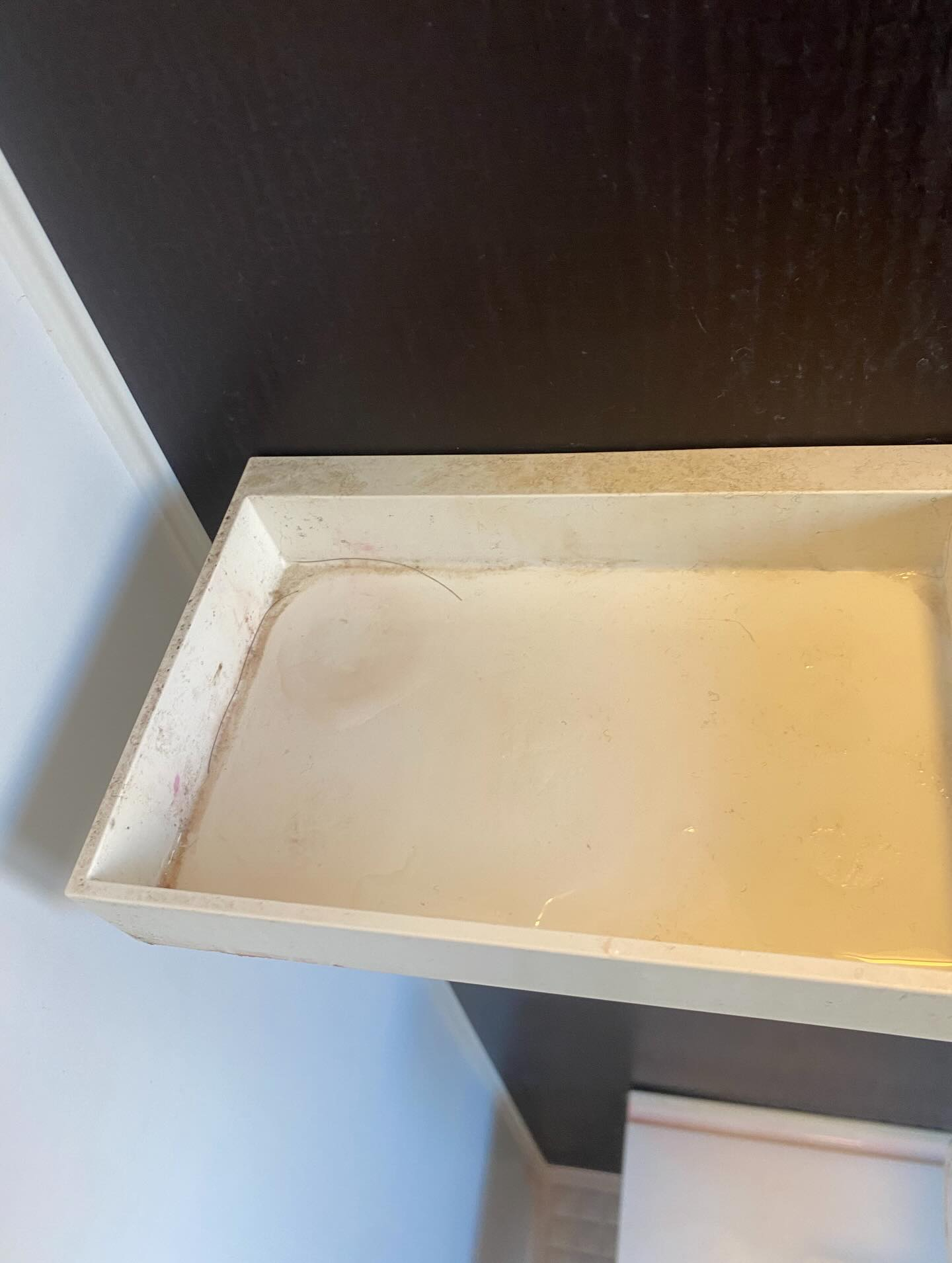 お風呂のお掃除ー!