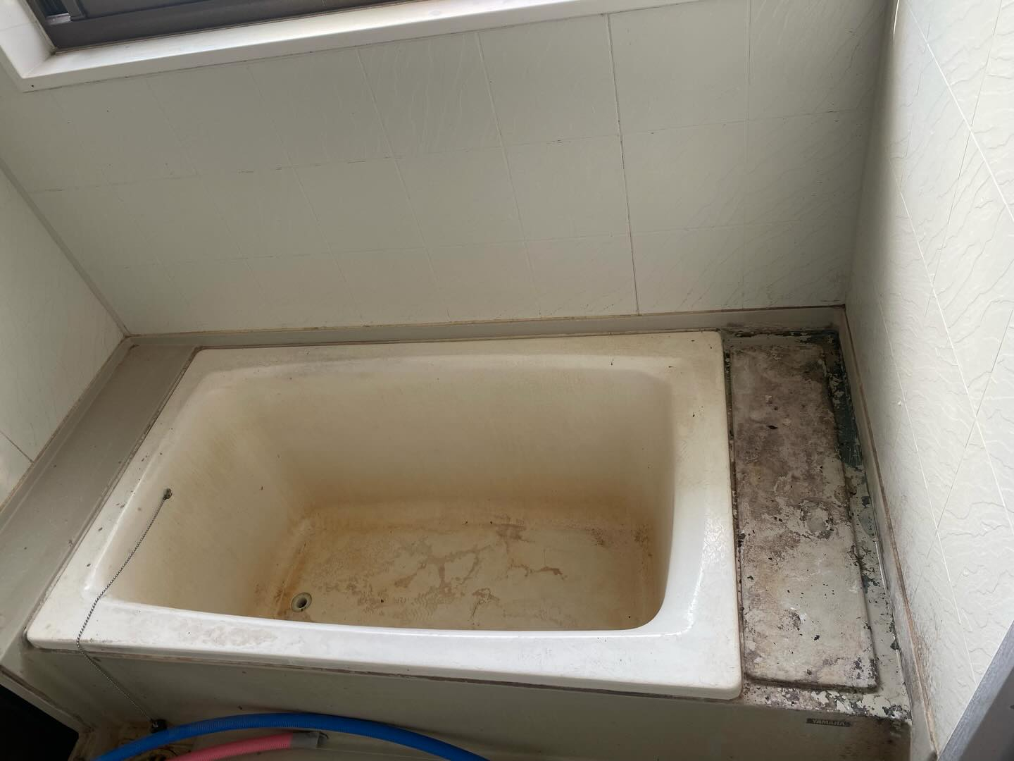 大切な方へのプレゼントにお風呂掃除！